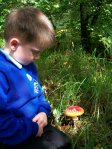 Fungi Hunting